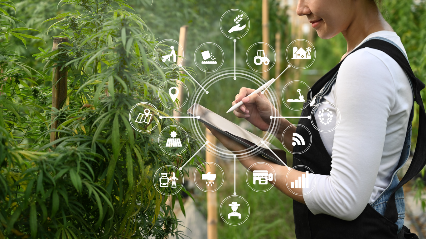 The Key To Thriving In The Difficult Cannabis Market Is Having Access To Your Data
